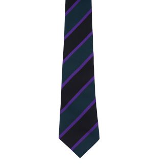 NESTON 2026 STEWART (PURPLE) HOUSE TIE