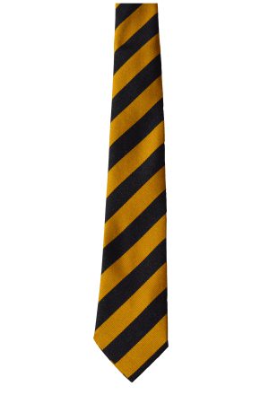 BARNSTON PRIMARY SCHOOL 45" TIE