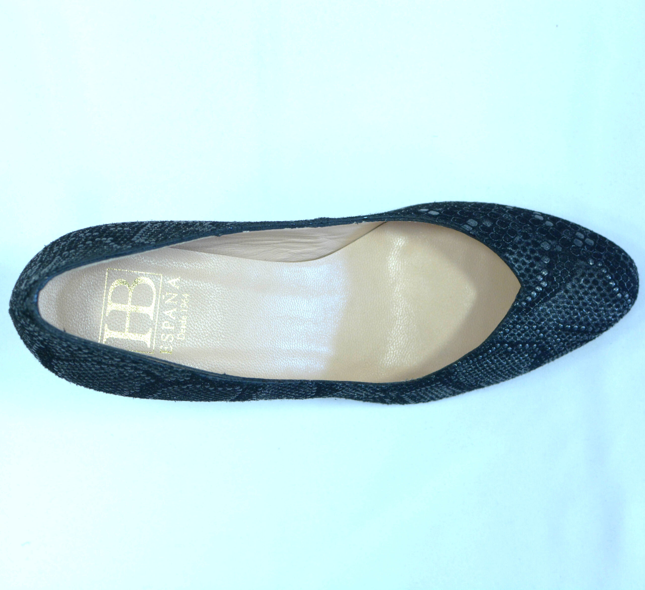 Black Lizard Veronica Court - 3